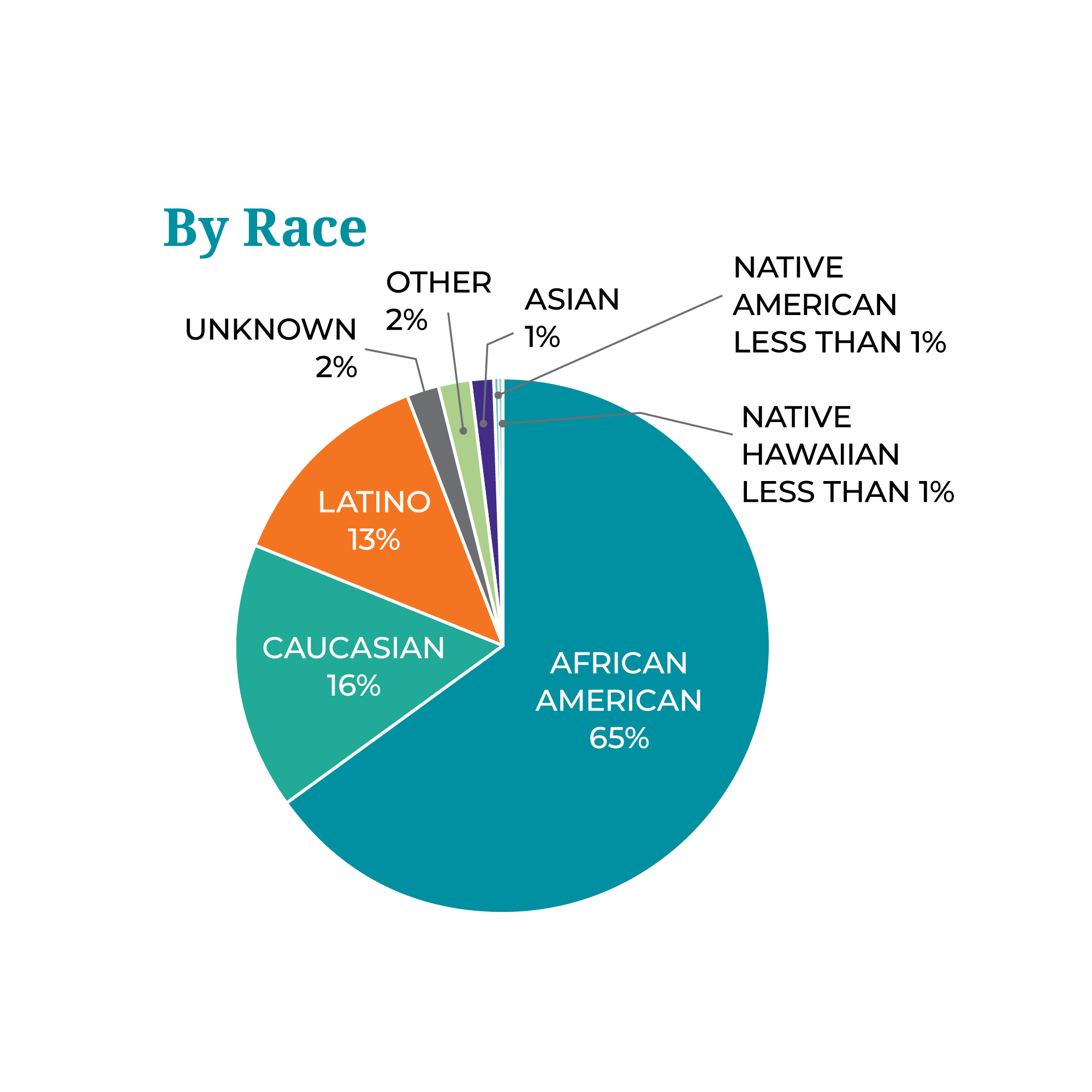 By-Race-Graph.png